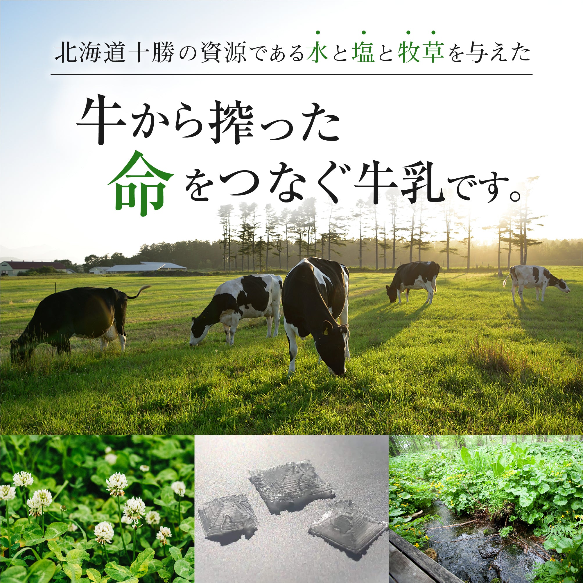 鈴木牧場】十勝オーガニック牛乳900ml【数量選択：3本・4本